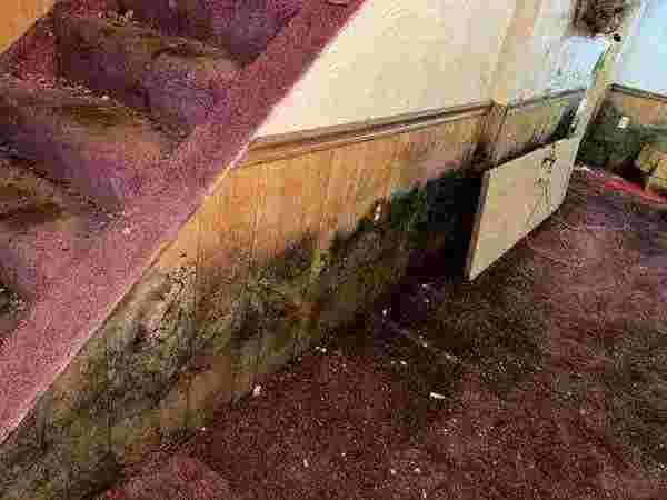 certified-mold-remediation-rochester-epa-compliant-solutions-big-0