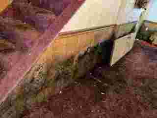 certified-mold-remediation-rochester-epa-compliant-solutions-small-0