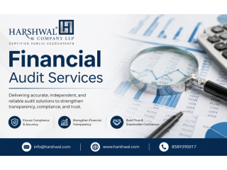 streamline-finances-with-expert-financial-audit-services-small-0