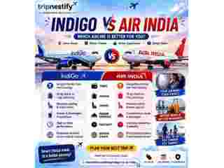 indigo-vs-air-india-fare-comparison-travel-small-0