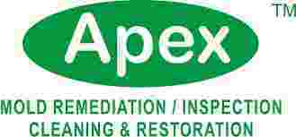mold-removal-in-new-york-big-0