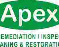 mold-removal-in-new-york