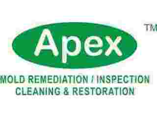 mold-removal-in-new-york-small-0