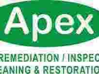 mold-removal-in-new-york