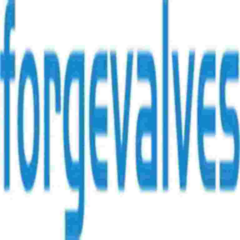 china-topper-forged-valve-manufacturer-co-ltd-big-0