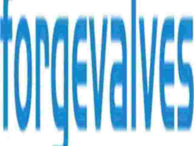 china-topper-forged-valve-manufacturer-co-ltd