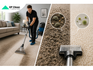top-carpet-cleaning-companies-in-charlotte-small-0