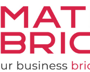 matrix-bricks-usa-delivers-real-ecommerce-seo-services