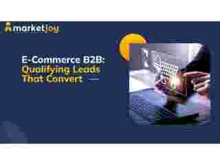 better-pipeline-growth-with-b2b-ecommerce-lead-qualification-small-0