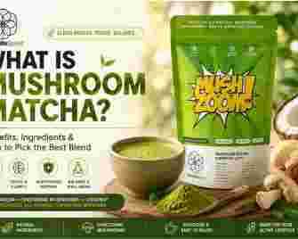 best-mushroom-matcha-for-clean