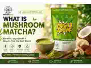 best-mushroom-matcha-for-clean-small-0