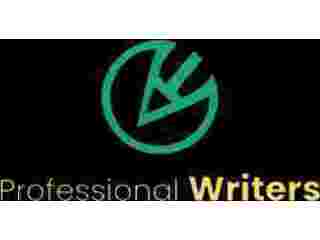 hire-professional-writers-small-0