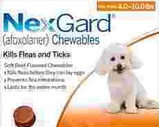 bestvetcare-deals-nexgard-for-dogs-20-off-free-shipping