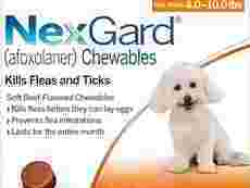 bestvetcare-deals-nexgard-for-dogs-20-off-free-shipping