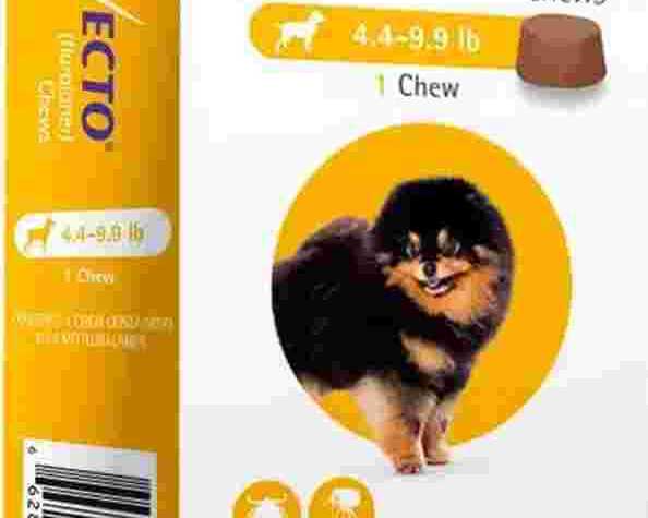 bravecto-for-dogs-starting-at-3665-canadavetexpress