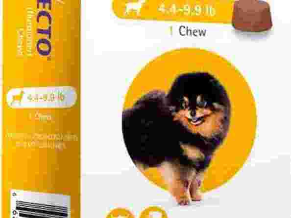 bravecto-for-dogs-starting-at-3665-canadavetexpress