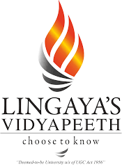 why-lingayas-vidyapeeth-is-the-best-bca-college-in-delhi-ncr-big-1