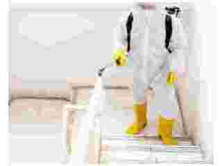 emergency-mold-testing-services-castle-pines-small-0