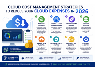 cloud-cost-management-strategies-to-reduce-your-cloud-expenses-small-0
