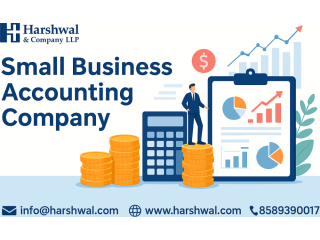small-business-accounting-company-for-smart-financial-planning-small-0