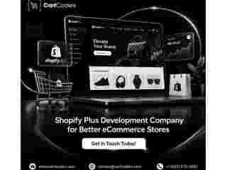 shopify-plus-development-company-for-advanced-ecommerce-small-0