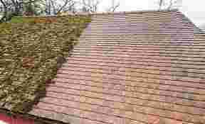 expert-moss-removal-in-radlett-big-0