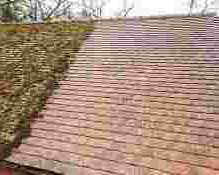 expert-moss-removal-in-radlett