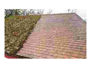 expert-moss-removal-in-radlett-small-0