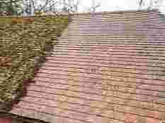 expert-moss-removal-in-radlett