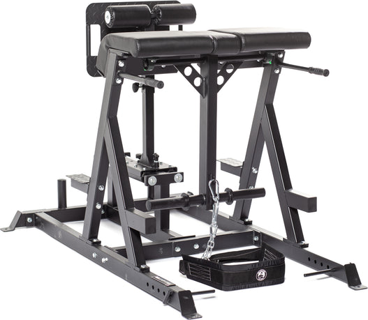 buy-reverse-hyper-machine-lower-back-rehab-strength-big-0