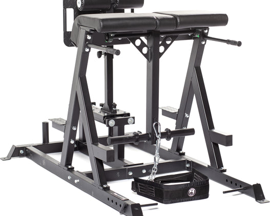 buy-reverse-hyper-machine-lower-back-rehab-strength