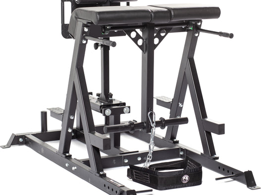 buy-reverse-hyper-machine-lower-back-rehab-strength