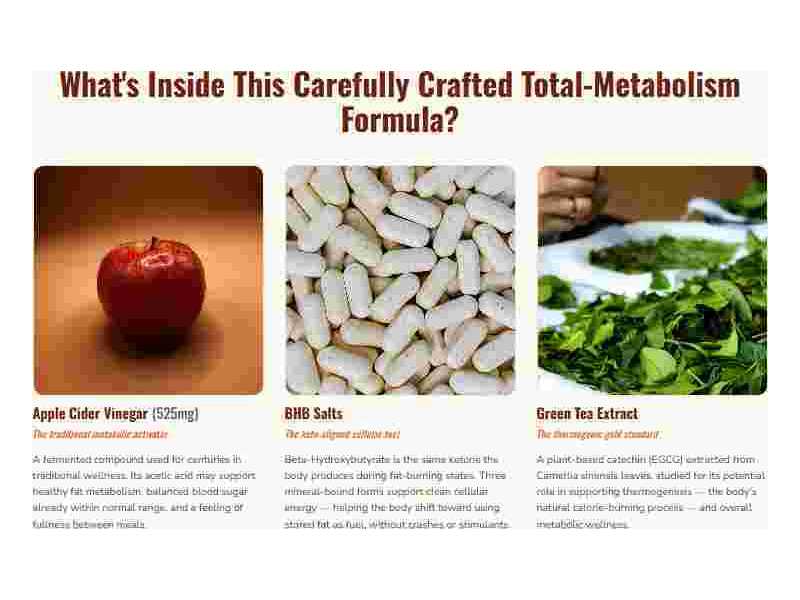 burntide-weight-loss-gummies-for-women-safe-effective-fat-loss-small-0