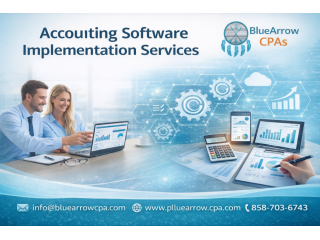 advanced-accounting-software-implementation-services-for-accuracy-small-0