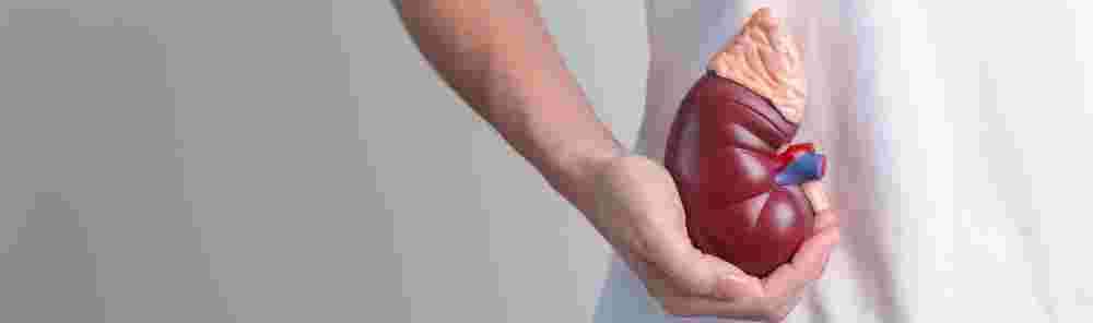 professional-clinical-services-for-kidney-disease-management-big-0