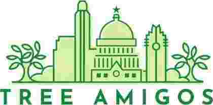 expert-arboricultural-consulting-austin-for-healthy-trees-big-0