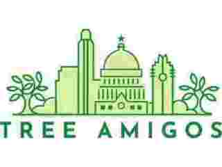expert-arboricultural-consulting-austin-for-healthy-trees-small-0