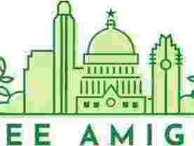 expert-arboricultural-consulting-austin-for-healthy-trees