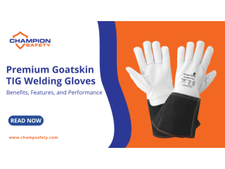 champion-safety-premium-safety-wear-protective-equipment-small-0