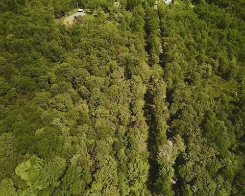 buy-a-home-in-livingston-manor-ny