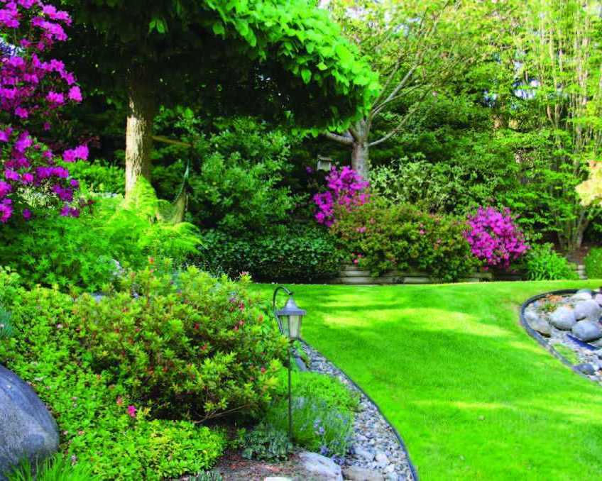 sustainable-trends-transforming-silicon-valley-hoa-landscapes