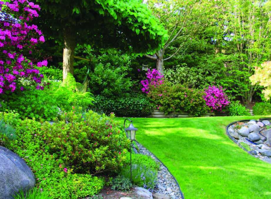 sustainable-trends-transforming-silicon-valley-hoa-landscapes-big-0