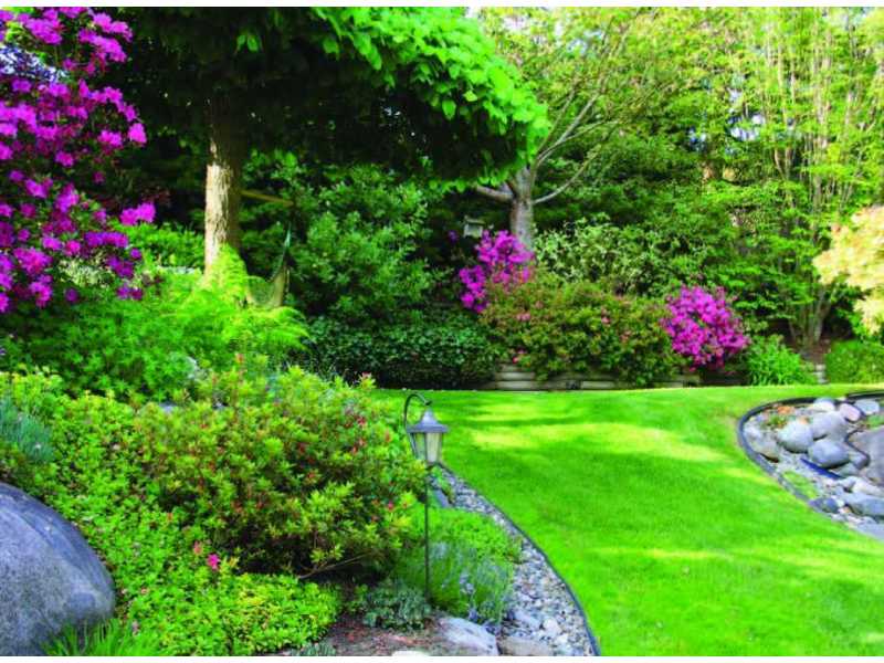 sustainable-trends-transforming-silicon-valley-hoa-landscapes-small-0