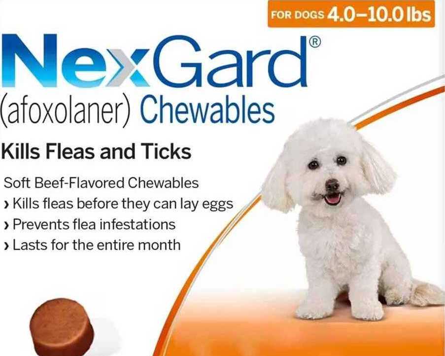 nexgard-for-dogs-starting-at-3265-canadavetexpress