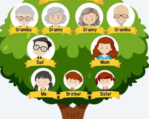 get-fast-help-with-family-tree-maker-support-number