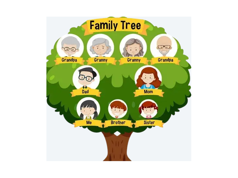 get-fast-help-with-family-tree-maker-support-number-small-0