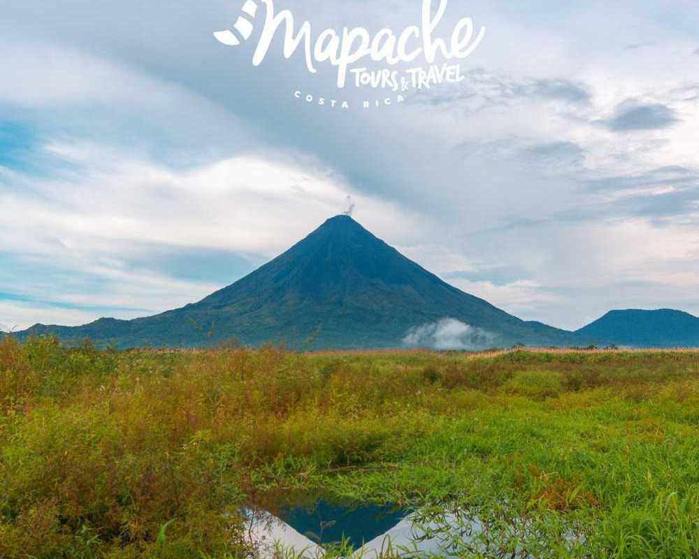 mapache-tours-costa-rica
