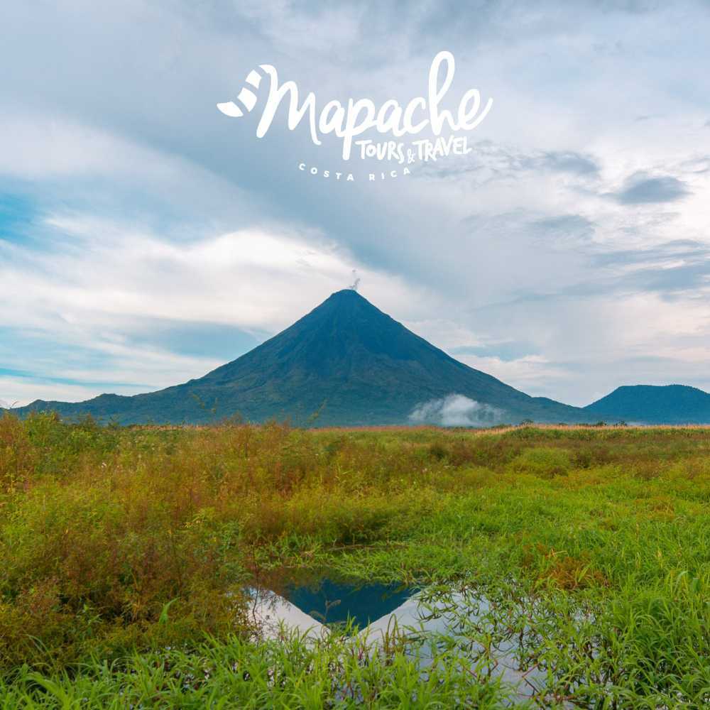 mapache-tours-costa-rica-big-0