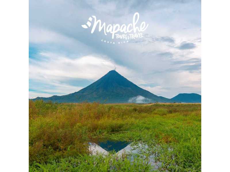 mapache-tours-costa-rica-small-0
