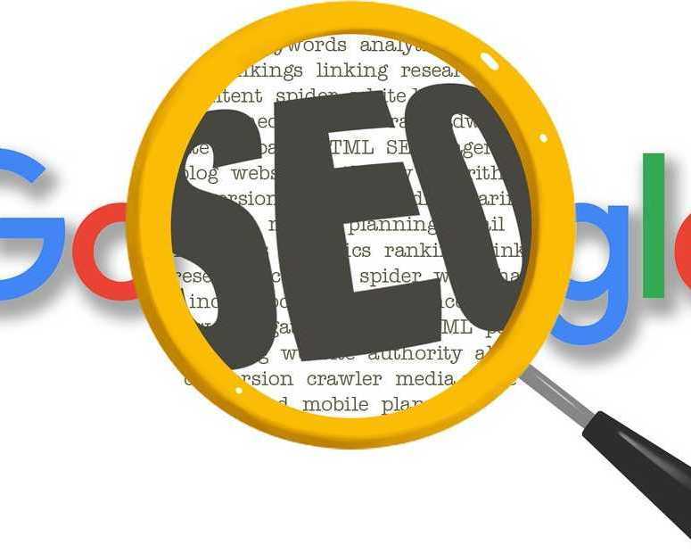 top-5-seo-companies-in-chennai-why-optimize-cube-stands-out